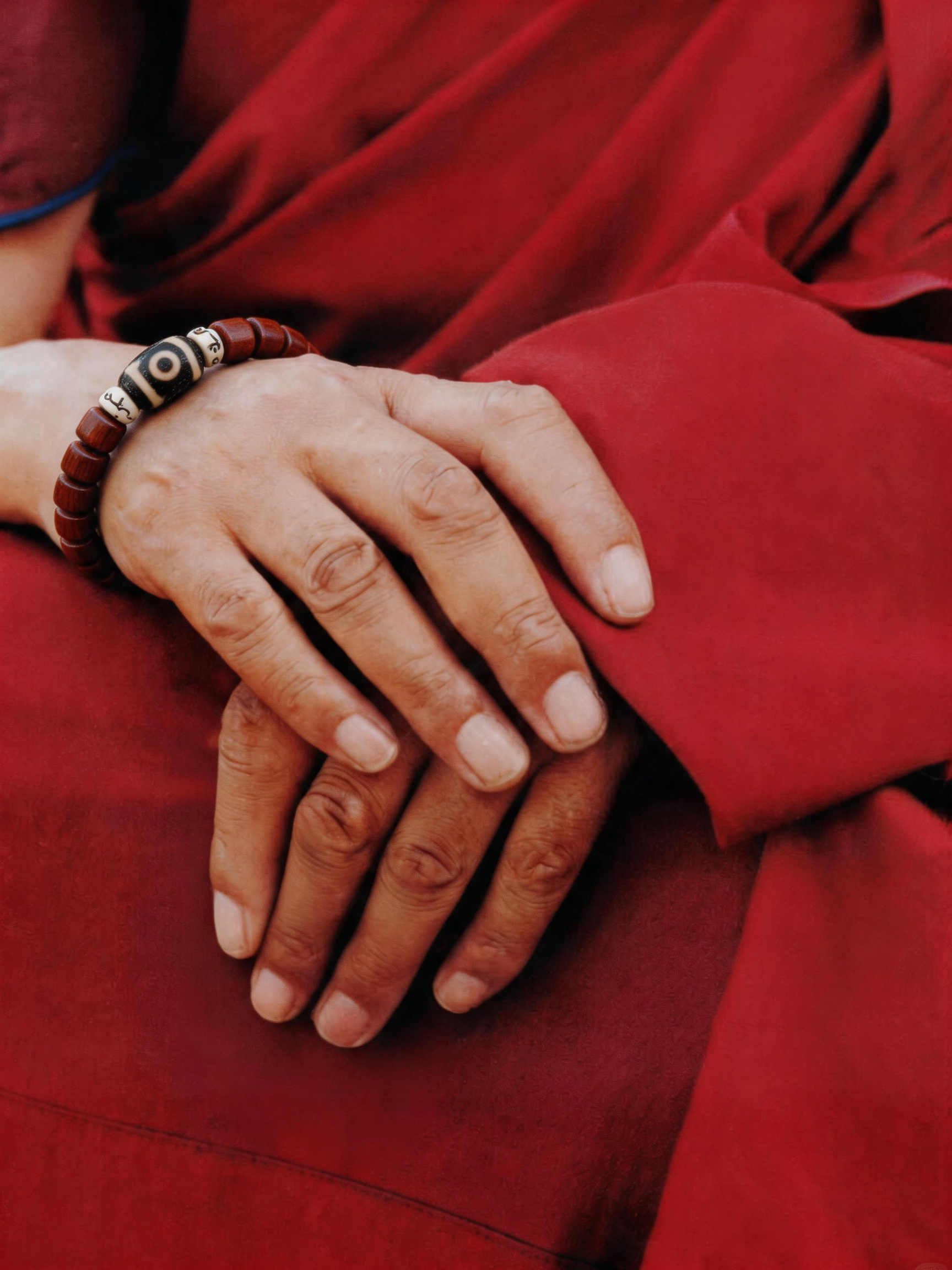 Aged Organic Bodhi & Two-Eyed Dzi Bracelet