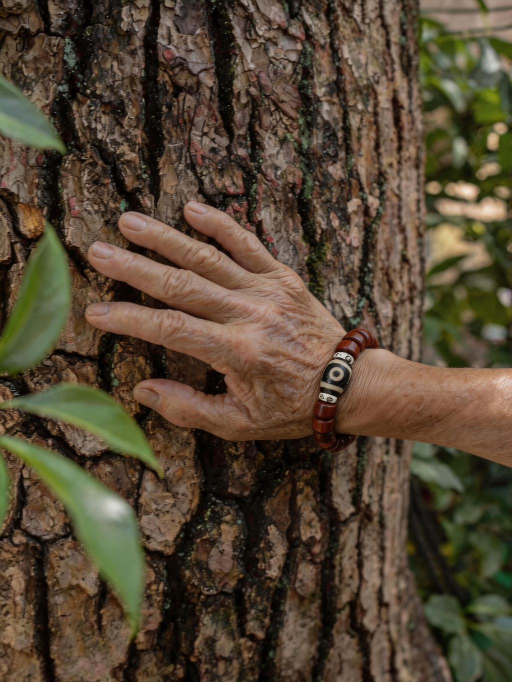 Aged Organic Bodhi & Two-Eyed Dzi Bracelet