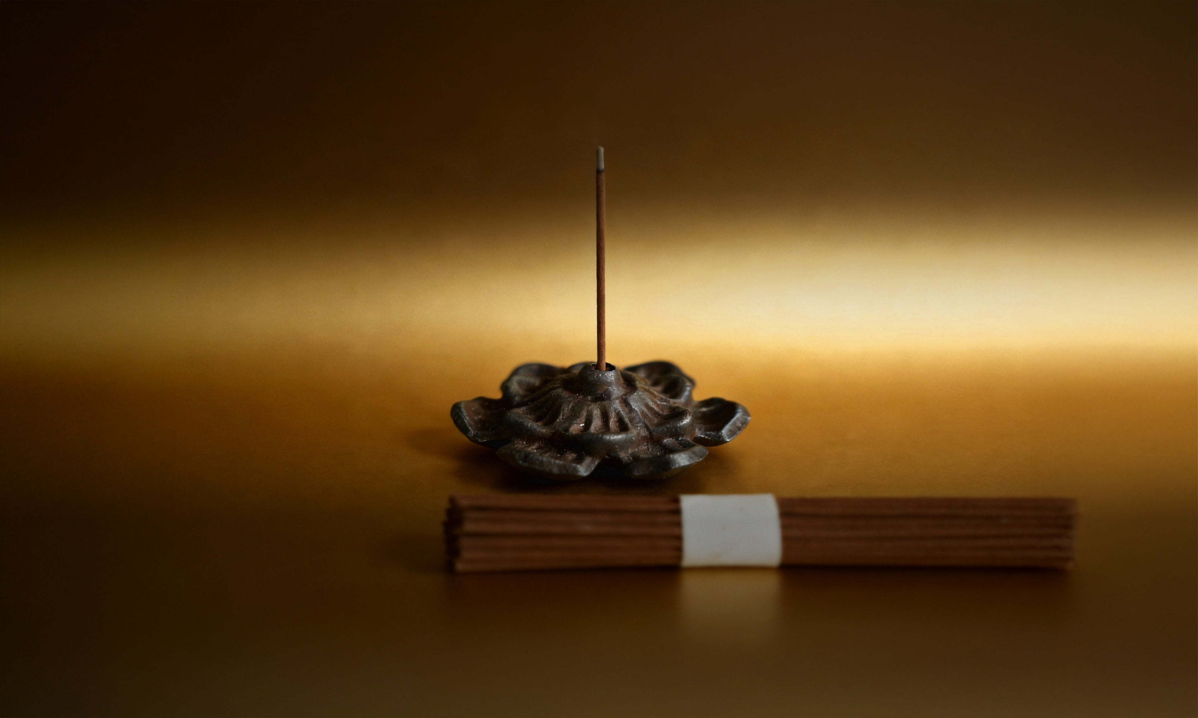 Joshi Anandesha x Sanctum Tathaa