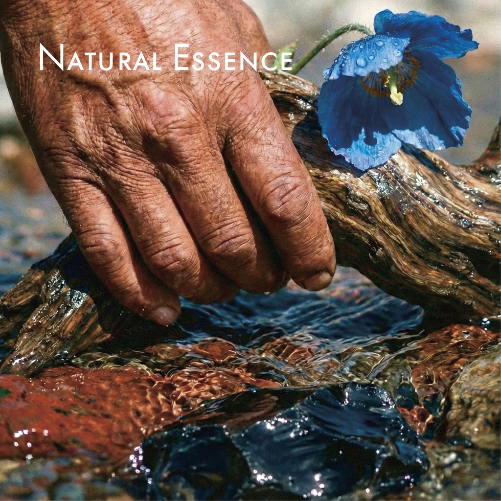 Joshi Anandesha x Sanctum Tathaa