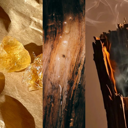 Calm Incense Sticks